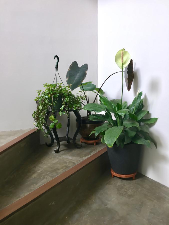 Casa Lelyte Bed & Breakfast Bogotá Dış mekan fotoğraf